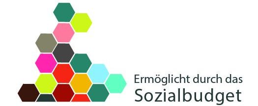 pos. 2 final sozialbudget 01